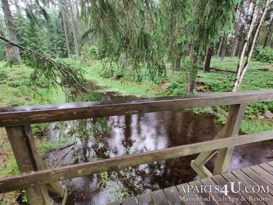 Apartment Grun Wald Marianske Lazne Bagian luar foto